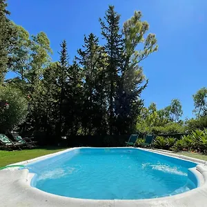  Chalet Con Piscina Viajar Con Mascota